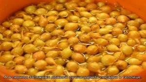 Что делать, если лук на огороде желтеет и не растет?