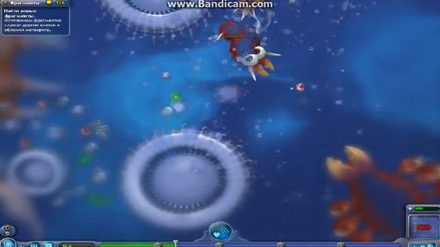 Spore начало начал микроб