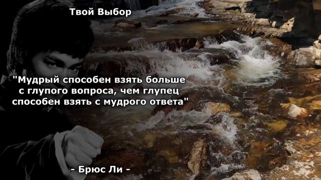 Поразительно сильные слова Брюс Ли, которые невероятно мотивируют. Высказывания, цитаты и афоризмы смотреть онлайн