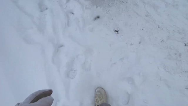 Моя дршка. Влог со школы, каток и кушканье). смотреть онлайн