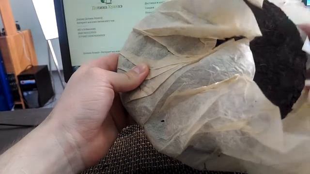 Императорский блин, зелёная печать 2001 год ШУ-ПУЭР смотреть онлайн