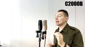 Микрофон Takstar TAK35: Обзор Тест Сравнение. При чём здесь Lewitt?