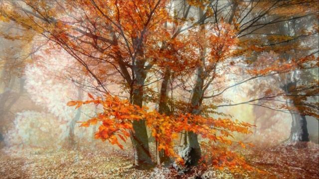 Всегда рассчитывайте свои силы.