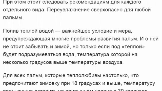 Особенности ухода за комнатными пальмами зимой смотреть онлайн