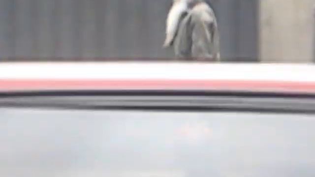 дед мороз весной смотреть онлайн