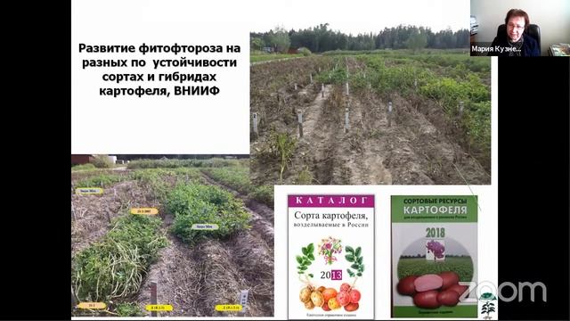 ТЯЖЕЛО В УЧЕНИИ - ЛЕГКО В ПОЛЕ смотреть онлайн