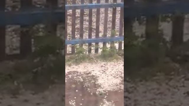 Страшная буря в Омском районе 18 мая 2021 года. Град 3 см. смотреть онлайн
