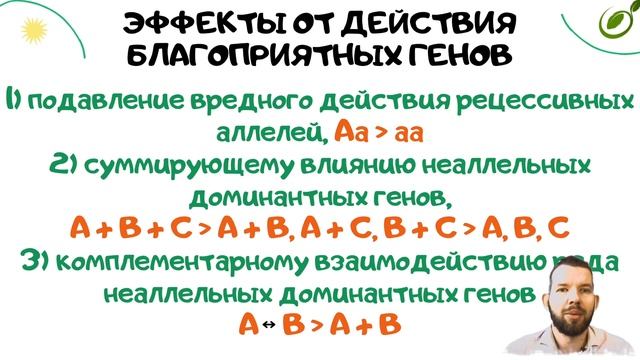 Л.24 | ВНУТРИВИДОВАЯ ГИБРИДИЗАЦИЯ | ГЕТЕРОЗИС | СЕЛЕКЦИЯ | ОБЩАЯ БИОЛОГИЯ ЕГЭ смотреть онлайн