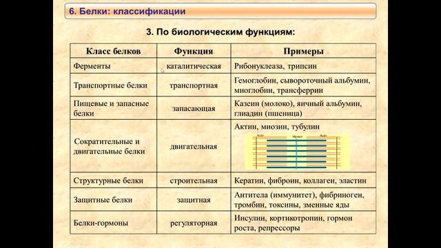 1_FFC_Lect1_ZAO_Статика1