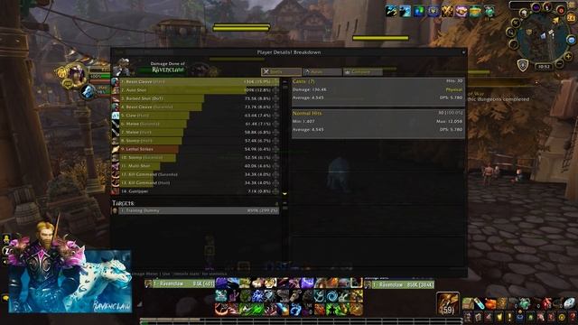 BM HUNTER IN DEPTH PVE GUIDE PART 4 - ROTATION & ADDONS смотреть онлайн