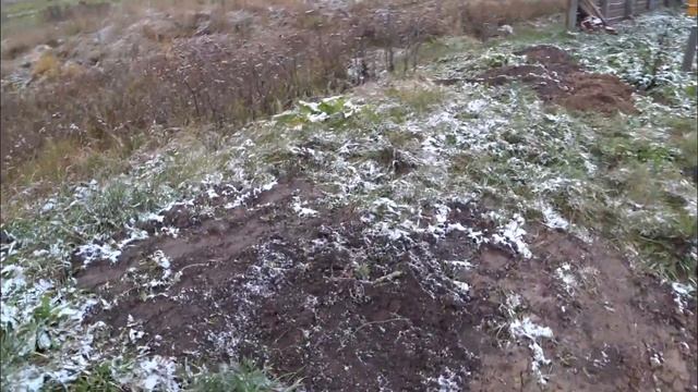 ГОРЕ ВИНОГРАДАРЬ !!!