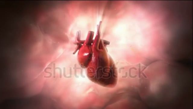 Душа грешника смотреть онлайн