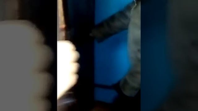 Что делать если потеряли ключи? [#2] смотреть онлайн