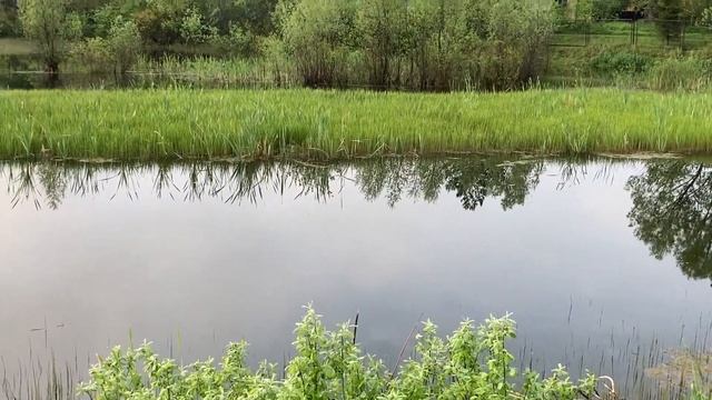Карьер Щучка смотреть онлайн
