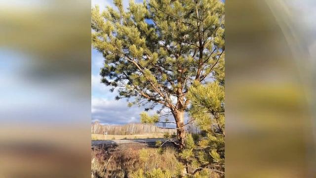 Диалог с Осенью смотреть онлайн