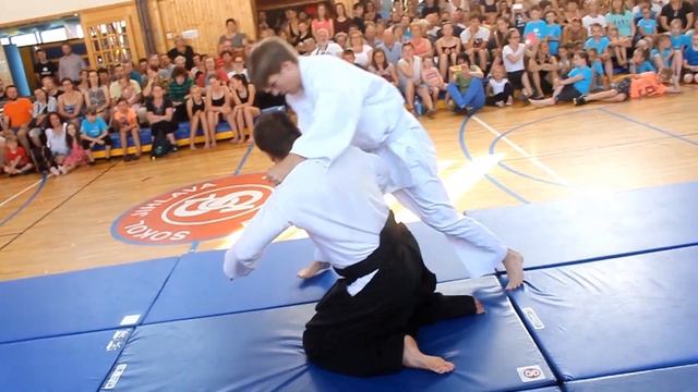 Akademie Sokol Jihlava 2019, Aikido смотреть онлайн