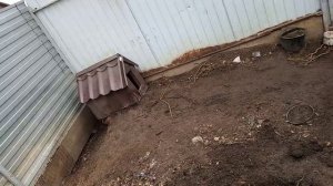 Мото тележка мини думпер.