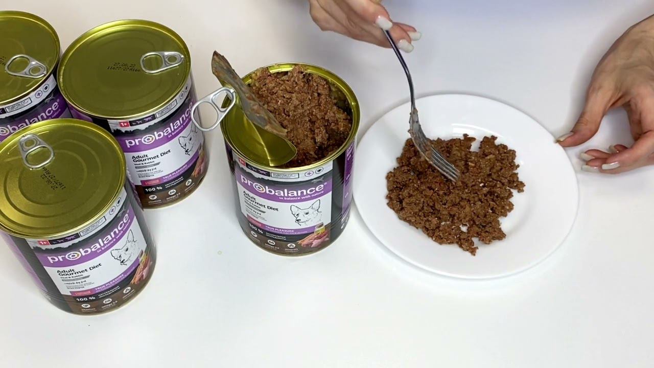 Консервированный корм для собак Gourmet Diet, 850г смотреть онлайн