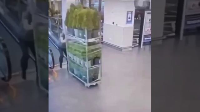 Выход смотреть онлайн