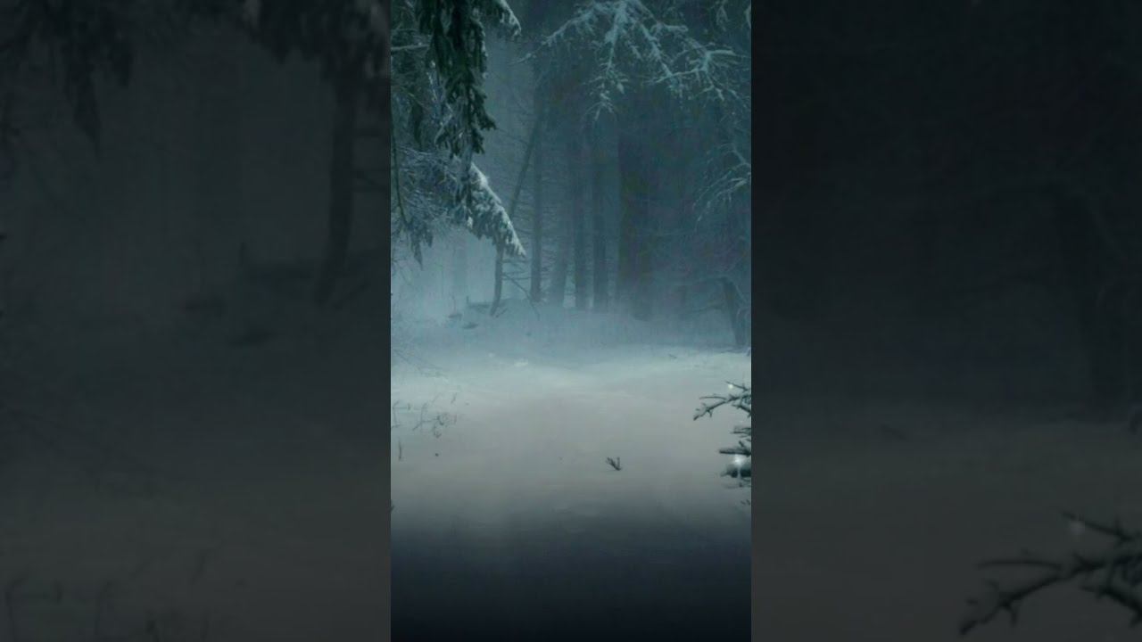 По несчастью или к счастью... Шпаликов Генадий. смотреть онлайн