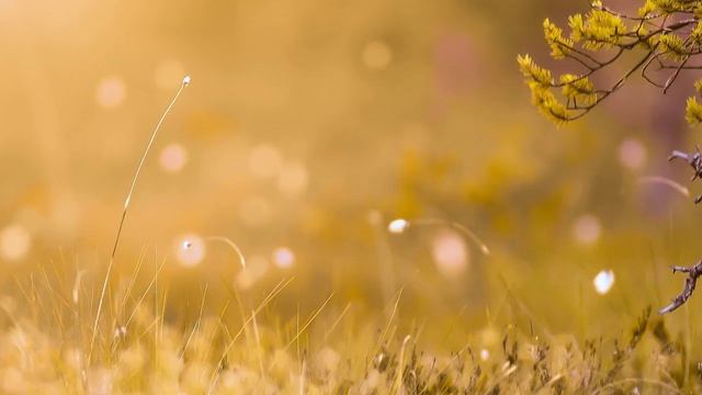 ДЮЙМОВОЧКА #fairytales #сказки