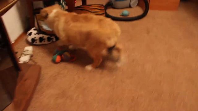 Тайга Жемчужина Сибири 5 месяцев смотреть онлайн