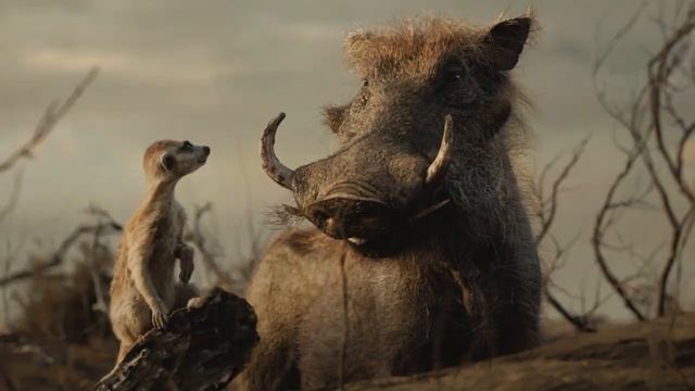 Пумба приманка для Гиен | Король Лев (2019) смотреть онлайн