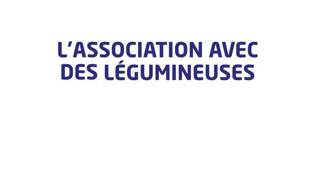 SEPAC COMPAGRI La culture du colza : les possibilités face aux différentes problématiques смотреть онлайн