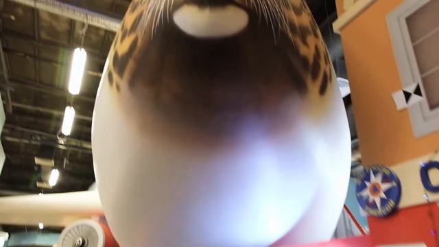 Праздник авиации в городе профессий. Торжественное открытие игротеки "России" в Кидбурге смотреть онлайн