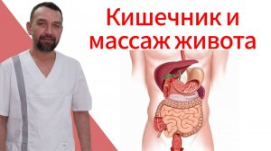 Кишечник и массаж живота.