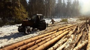 Доход упал, с чем это связанно? МТЗ Трелюет деревья! Работа в лесу!