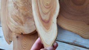 Красивые торцевые спилы. Высушил БЕЗ ТРЕЩИН!!! Про тунговое масло. Нахваливаю спилы)