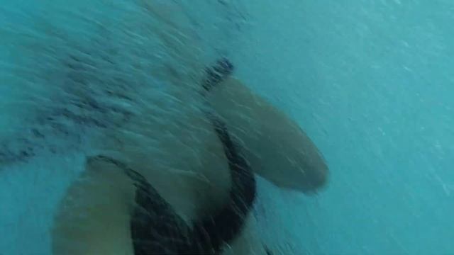 Аквапарк "Джунгли" 12.09.2021 смотреть онлайн