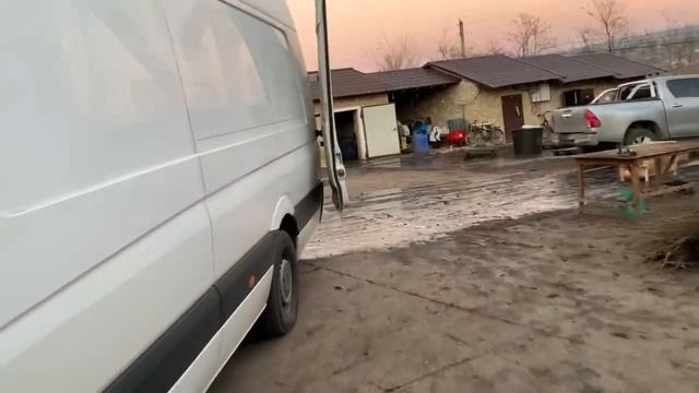 #саджанці#горіх#садоводство#урожай#сад#орех#саженцы#орехи#чандлер#саженец#саженцы#сажать#сажаем смотреть онлайн