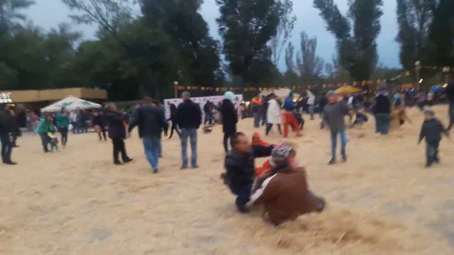 Бои соломой!!!! на день города Запорожье смотреть онлайн