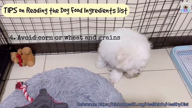 Is Your Puppy’s Diet, Good or Bad? | TIPS + Nature’s Protection Dog Food Review | Baxia the Bichon смотреть онлайн