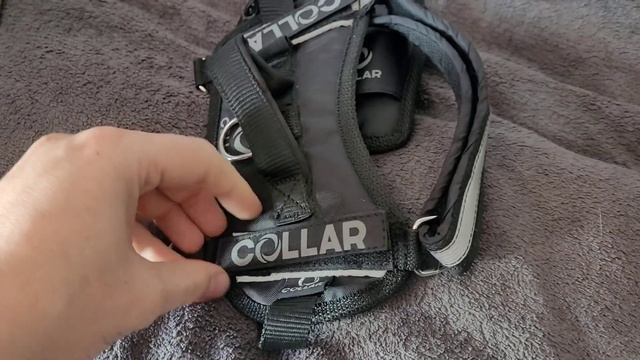 Як підібрати шлейку для ягдтер'єра? Шлейка для собак COLLAR POLICE. Амуніція для собак. смотреть онлайн
