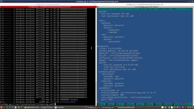 Восстановление кластера Postgres на базе Patroni из полного бэкапа утилиты pg_basebackup #4 смотреть онлайн