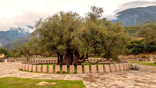 ТОП БЕЗВИЗОВЫХ СТРАН ДЛЯ РОССИЯН В 2019 || Черногория: факты смотреть онлайн