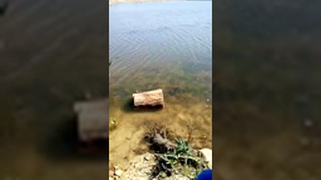 Я в (мин водах) гуляю!!!:-) смотреть онлайн