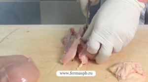 Фарш из филе куриной грудки