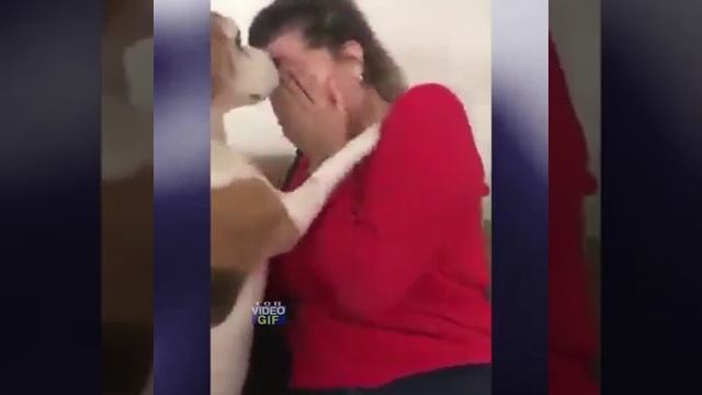 i (2).mp4 смотреть онлайн