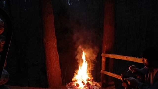 ЛЕСНОЕ ЖИЛИЩЕ | НОЧЕВКА В ЛЕСУ | BUSHCRAFT | DUGOUT SHELTER | FOREST SURVIVAL