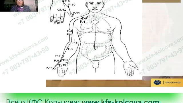 Лузгинова С.В. 2018-04-20 «КФС №18 и тайны меридианов» #кфскольцова смотреть онлайн