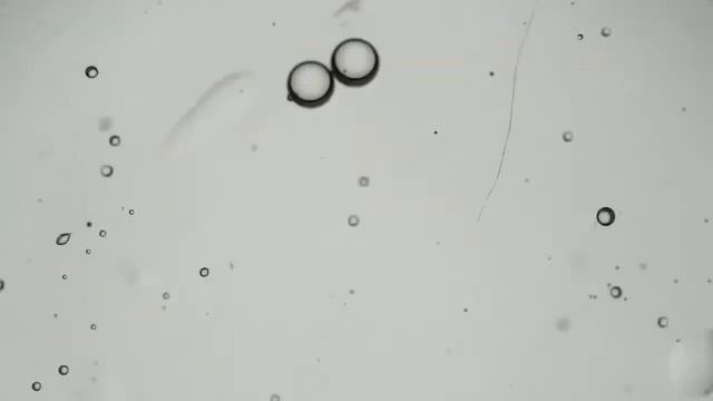 футажи смотреть онлайн