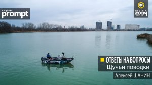 Ответы на вопросы. Щучьи поводки. Алексей Шанин