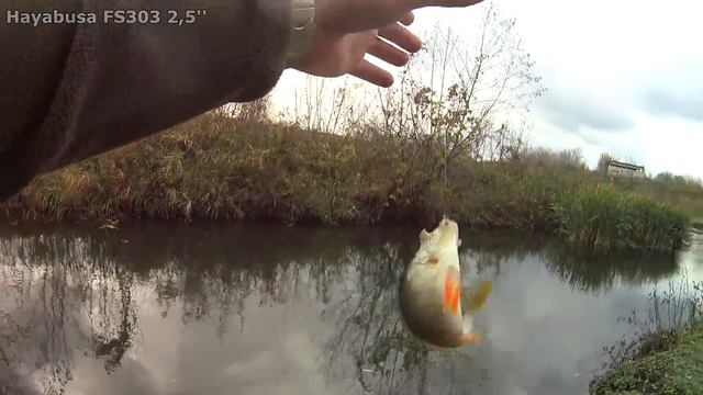 Что в себе ТАИТ РУЧЕЙ вдоль трассы? Рыбалка в умирающей речушке смотреть онлайн