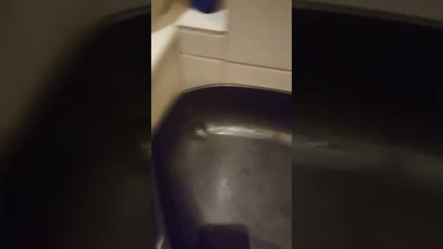 Как убирать туалет кота смотреть онлайн