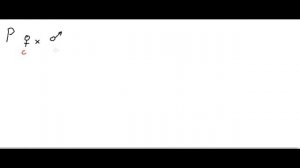 Генетика. 1 и 2 законы Менделя, решение задач. Часть 3