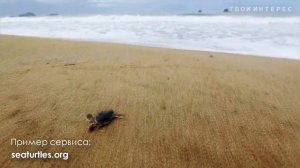 10 СПОСОБОВ ПУТЕШЕСТВОВАТЬ БЕСПЛАТНО